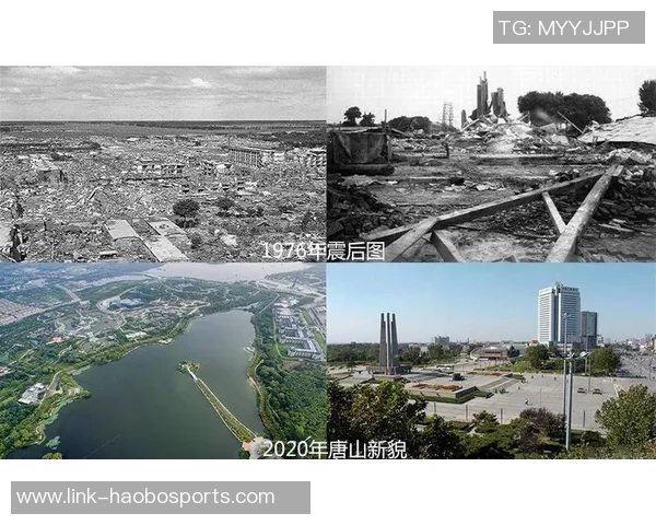 重庆乒乓球队的崛起之路欧锦赛背后的奋斗与荣耀