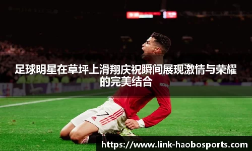 haobosports